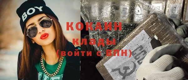 кокс Алексин