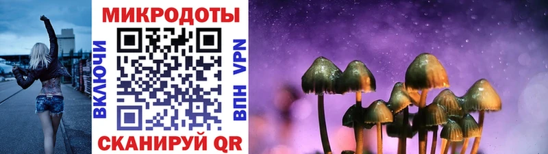 Псилоцибиновые грибы Psilocybine cubensis  купить  сайты  Лагань 